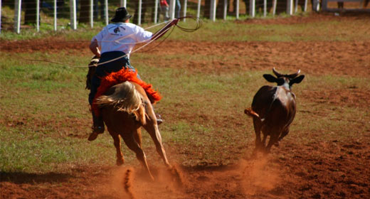 Seguro Rodeio Crioulo