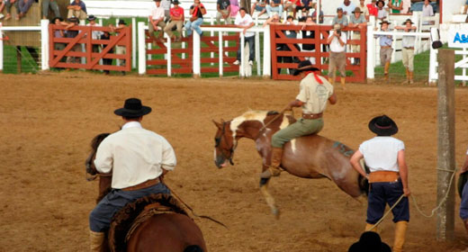 Seguro Rodeio Crioulo