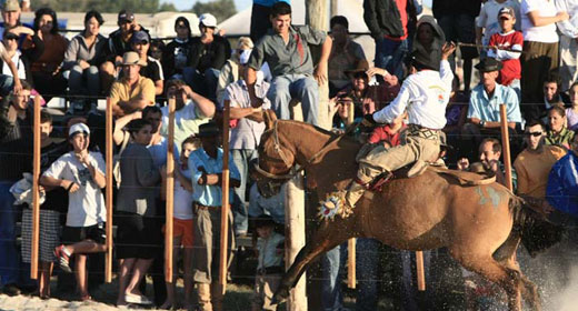 Seguro Rodeio Crioulo